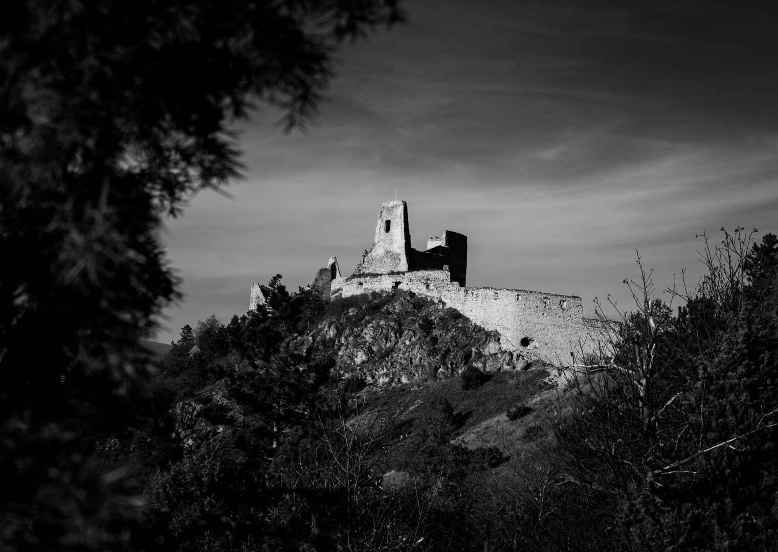 Black and white view of Čachtice Castle on a hill in Slovakia framed by trees